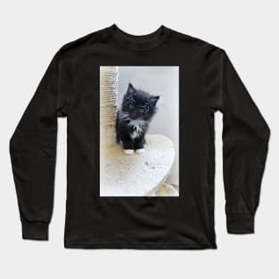 Tiny Baby Spider Whiskers Long Sleeve T-Shirt